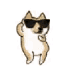 Linkin Dancing Corgi with Sunglasses - Funny Dog Gift